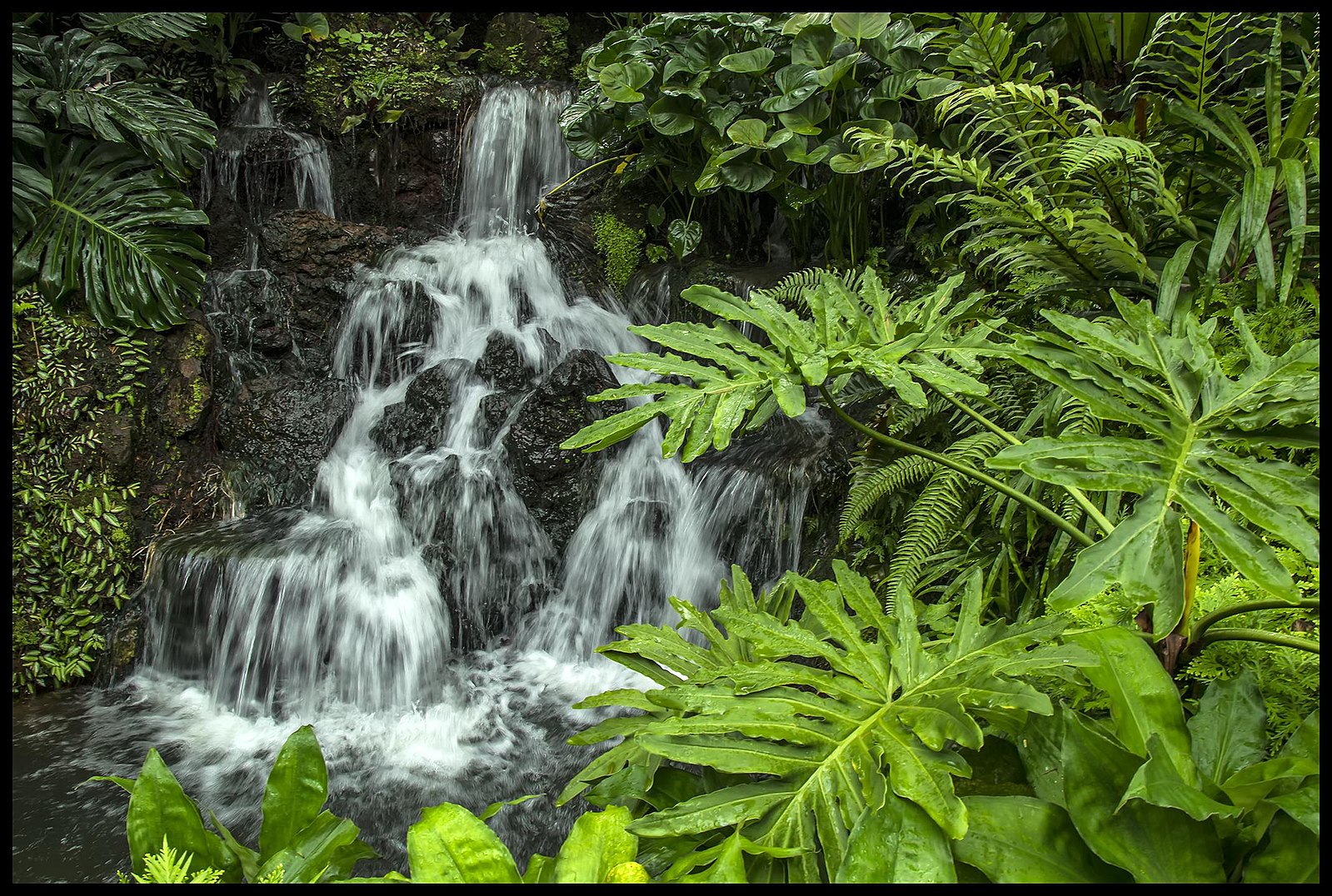 Botanic Garden